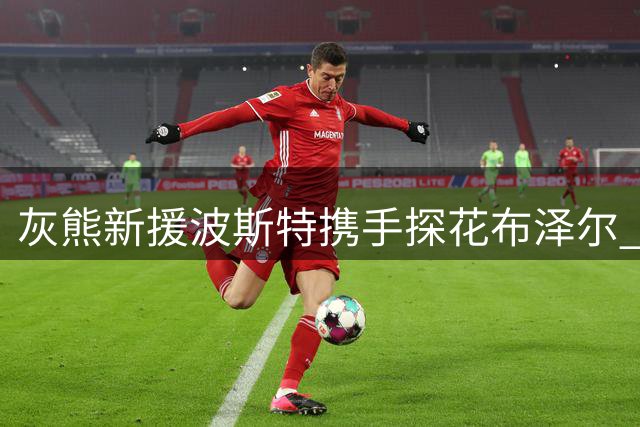 灰熊新援波斯特携手探花布泽尔 解析双塔战术配合亮点
