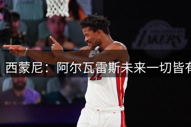 西蒙尼：阿尔瓦雷斯未来一切皆有可能